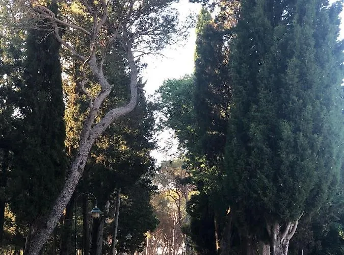 Mobile Bartol De Lux *