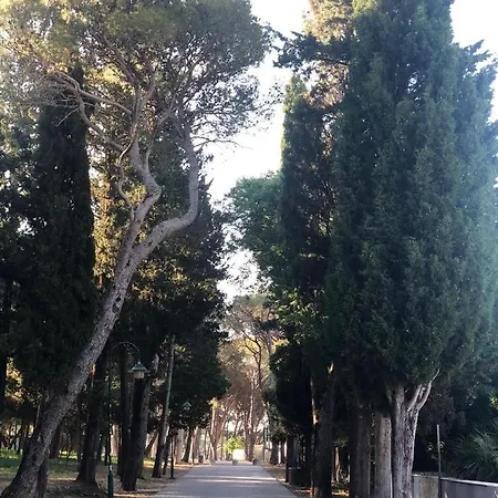 Mobile Bartol De Lux *